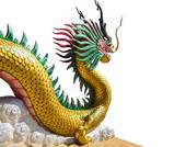 88年属龙最旺的年份（ 88年龙运势最旺年份）