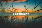 狮子座今日运势方位，免费情侣星盘合盘测试
