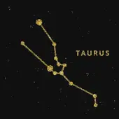 金牛座今日运势全解析：2025年2月9日精准指南