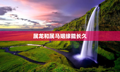 属龙和属马姻缘能长久，属龙和属马姻缘能长久嘛