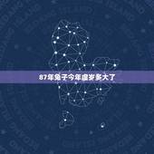 87年兔子今年虚岁多大了(兔子的年龄计算方法)