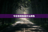 今日吉祥色是什么颜色，今日什么颜色旺财