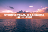 兔年属猪的运势怎么样，兔年属猪的运势怎么样2023年结婚